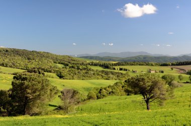 Toskana manzarası