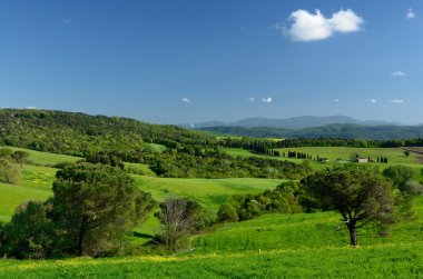 Toskana manzarası