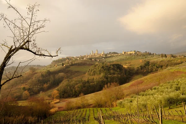 Toskanska kullarna — Stockfoto