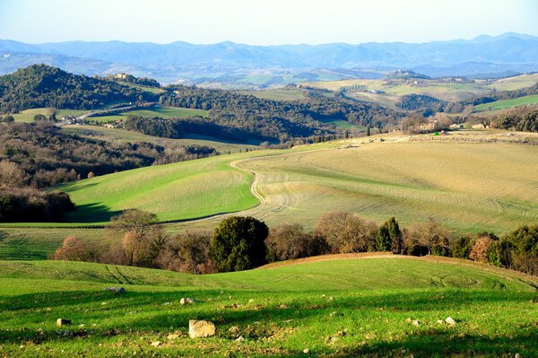 The landscape around the village of San gimignano in Tuscany