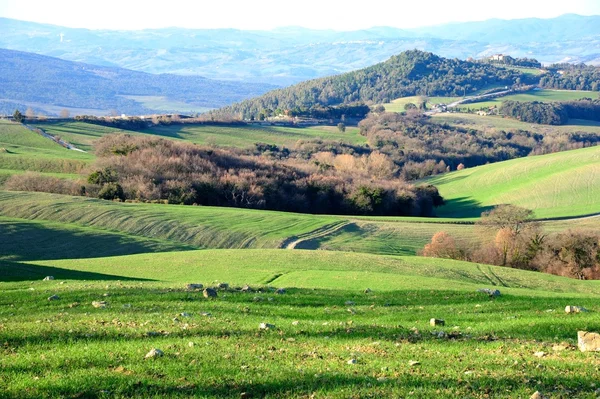 Toscane — Stockfoto