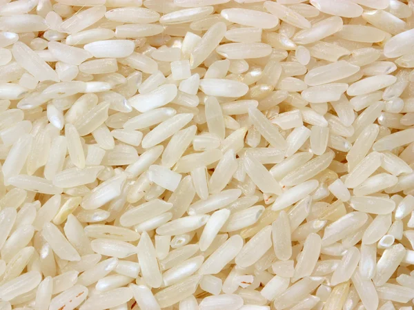 stock image Rice grains close up.