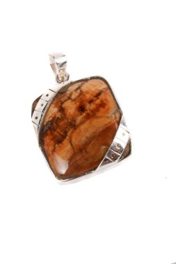 Petrified Wood Pendant clipart