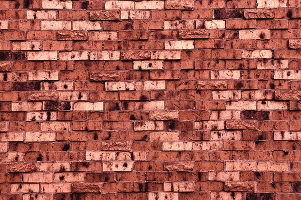 Кирпичная стена с темным красным оттенком — стоковое фото