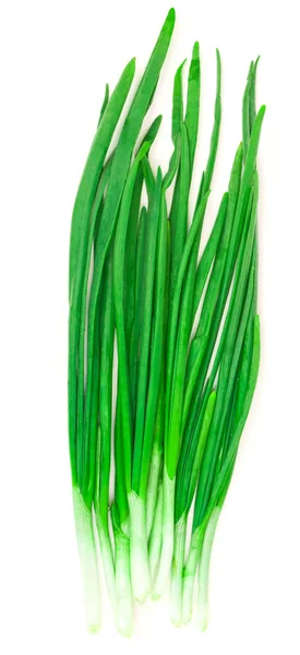Зелена цибуля — стокове фото