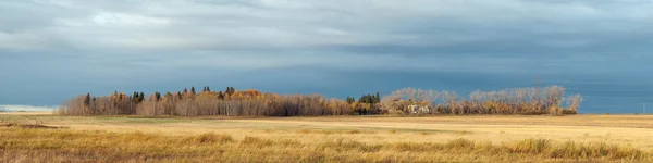 Alberta farm im herbst lizenzfreie Stockbilder