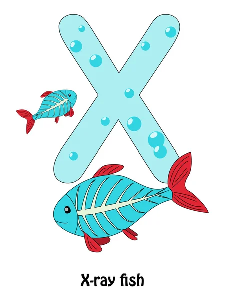 魚の x 線 x — ストックベクタ
