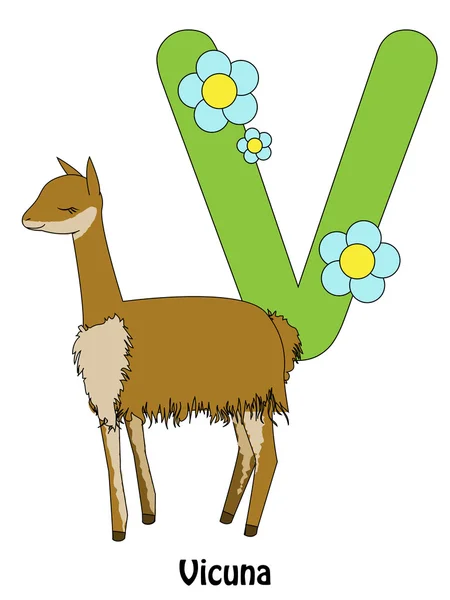 Vicuña v — Archivo Imágenes Vectoriales