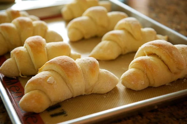 stock image A Tray of Rolls Taken Fresh from the Oven