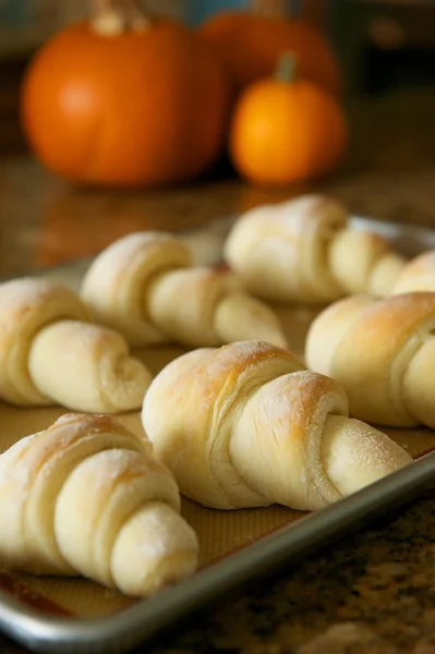 Vers gebakken broodjes met pumpkins — Stockfoto