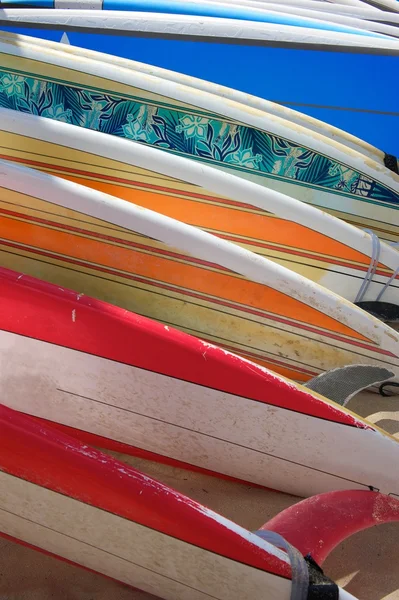 Яскраві барви прокат дошки для серфінгу покладанням піщаної на Гаваях Стокове Фото