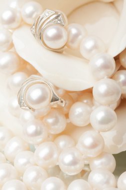 White pearl clipart