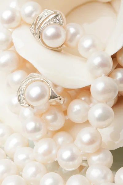 Perla blanca — Foto de Stock