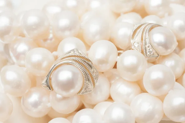 白珍珠 — 图库照片