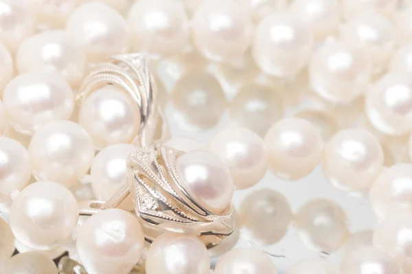 Perla blanca — Foto de Stock