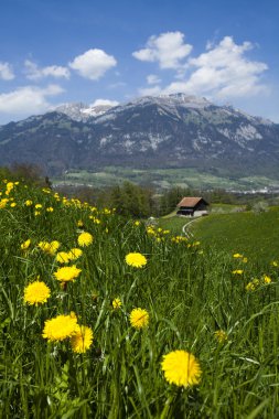 Landscape in mountains, spring clipart