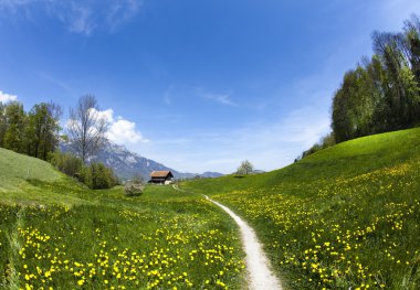 Spring landscape in mountains, apls clipart