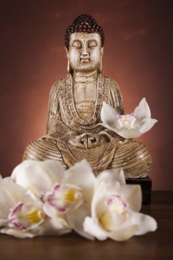 Buda heykeli ile orkide çiçek