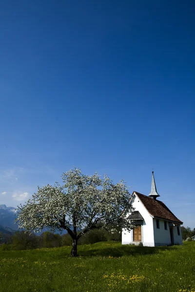 Alpes primavera — Foto de Stock