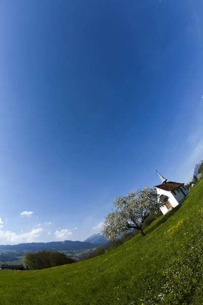 Alperna våren — Stockfoto