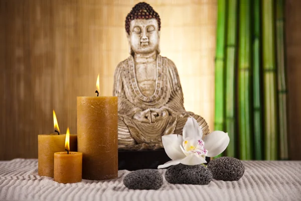 stock image Buddha statue in a meditation