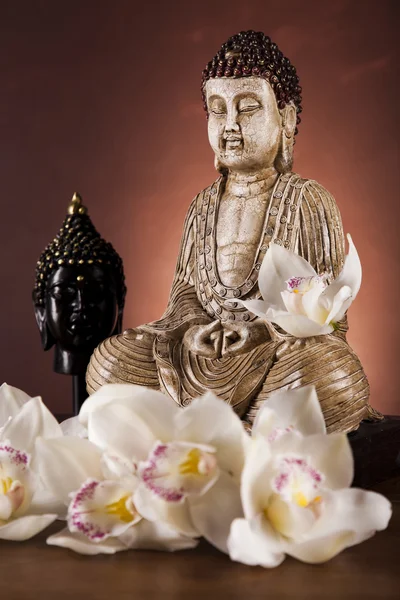 Buda heykeli ile orkide çiçek — Stok fotoğraf