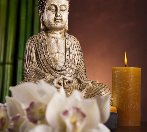 Buda 'nın Zeni — Stok fotoğraf