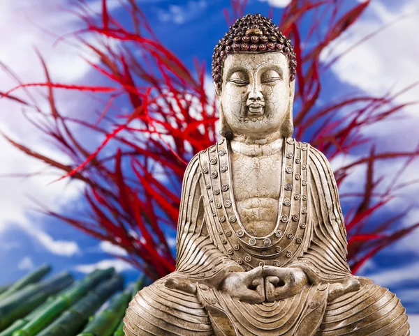 仏の禅 — ストック写真