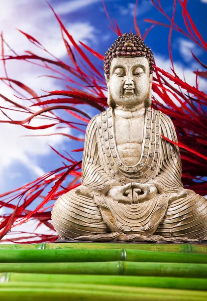 Zátiší s socha Buddhy a bambus — Stock fotografie