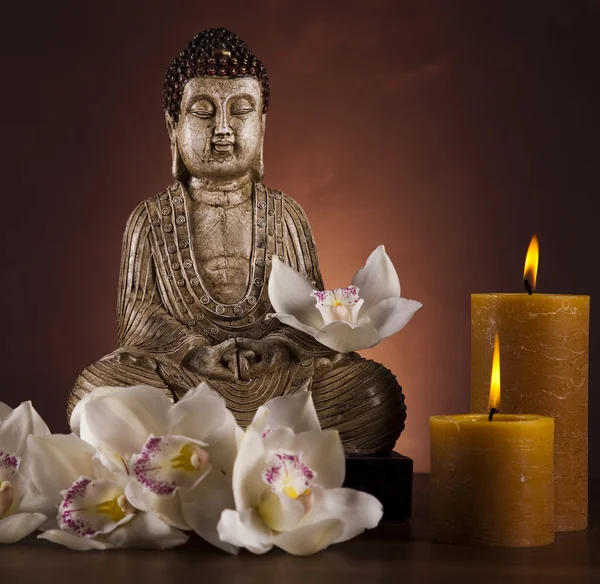 Estatua de Buda con flor de orquídea — Foto de Stock