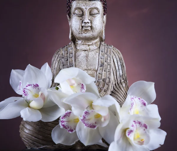 Buddha statue with orchid flower — Stock Photo, Image
