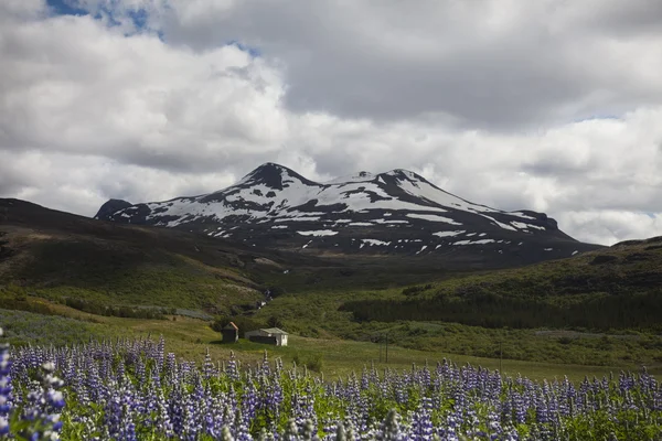 Gullfoss, İzlanda şelale — Stok fotoğraf