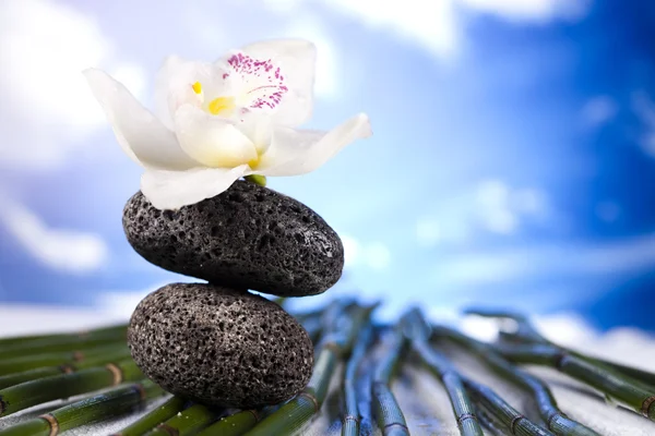 Natura morta, con fiore di orchidea, zen — Foto Stock