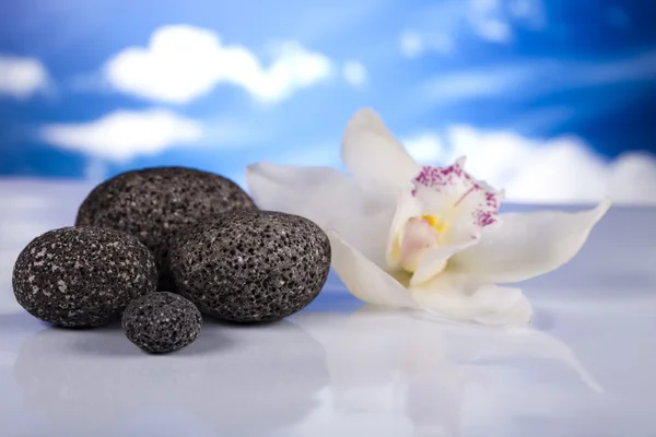 Stilleben, sten och zen — Stockfoto