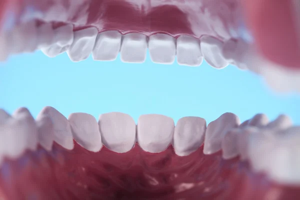 牙齿，牙齿保健对象 — 图库照片