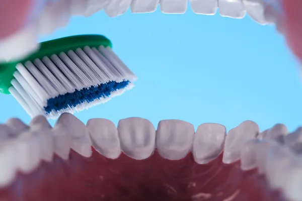 Dentes, Objetos de saúde dentária — Fotografia de Stock
