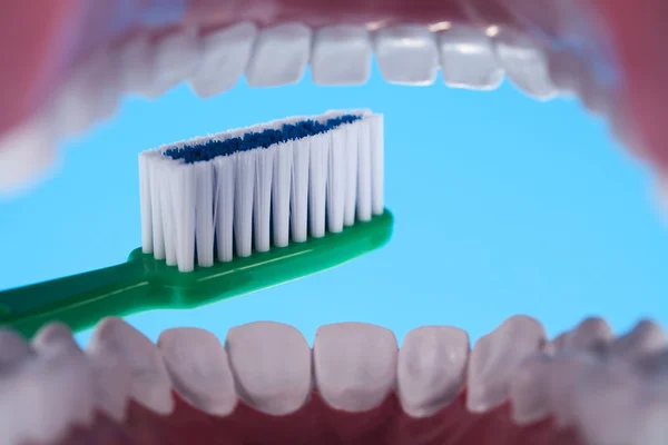 Dentes, Objetos de saúde dentária — Fotografia de Stock