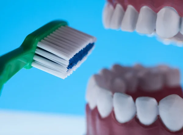 歯科健康管理オブジェクト — ストック写真