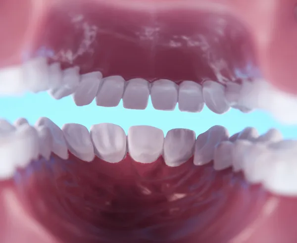 치아 — 스톡 사진
