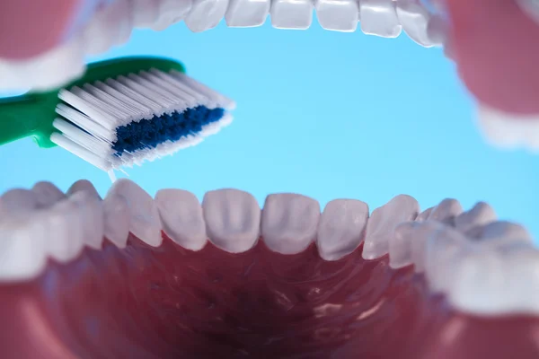 Dental — Stock Photo, Image