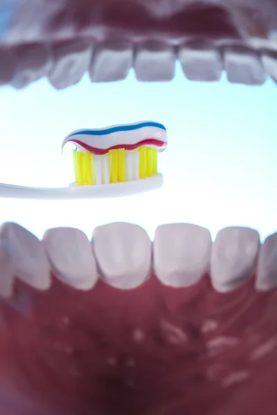 Dental — Stock Photo, Image