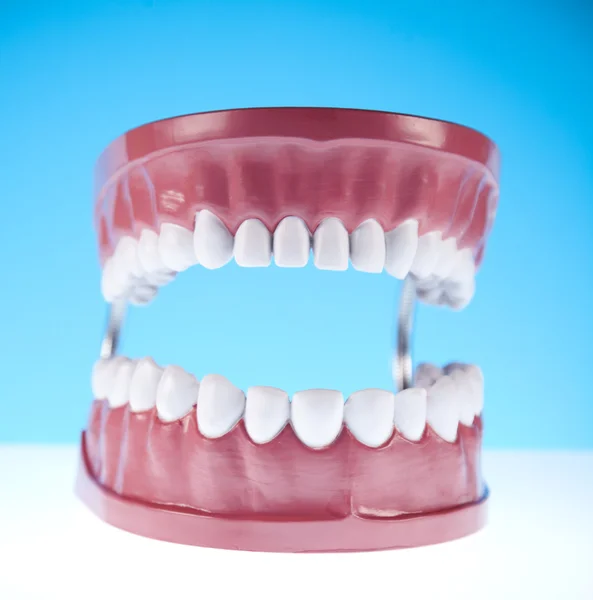 Зуби — стокове фото