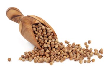 Coriander Seed clipart