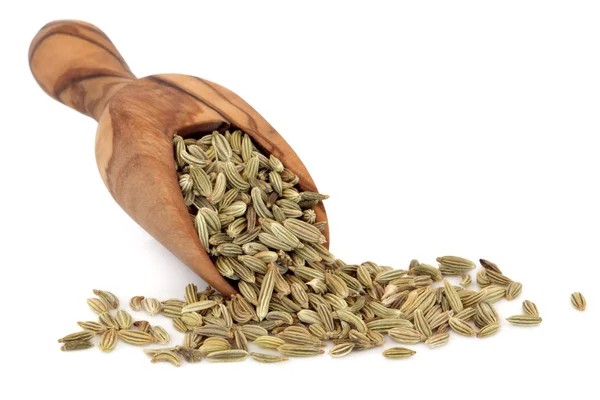 Fennel Seed — Stock Photo, Image