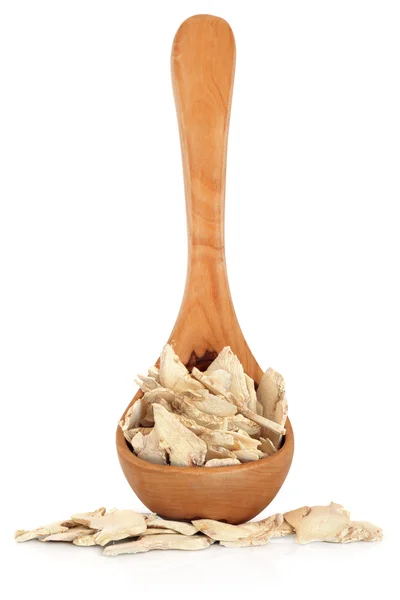 Ginger Root — Stock Photo, Image