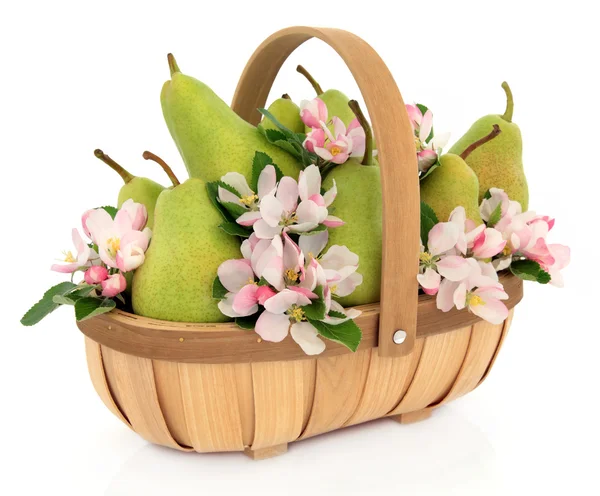 Birnenfrucht und Blüte — Stockfoto