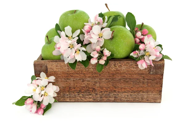 Jabłka Granny Smith — Zdjęcie stockowe