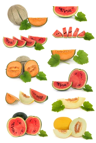 Kolekcja owocowa melon — Zdjęcie stockowe