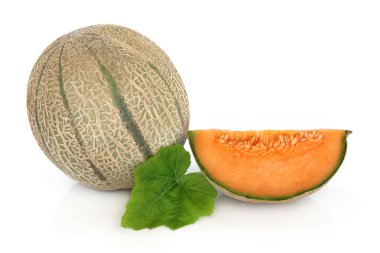 Cantaloupe Melon clipart