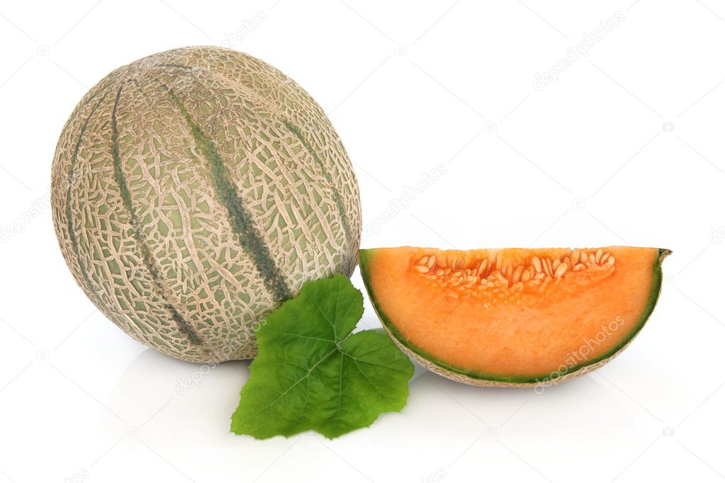 Cantaloupe Melon — Stock Photo © marilyna 8393309